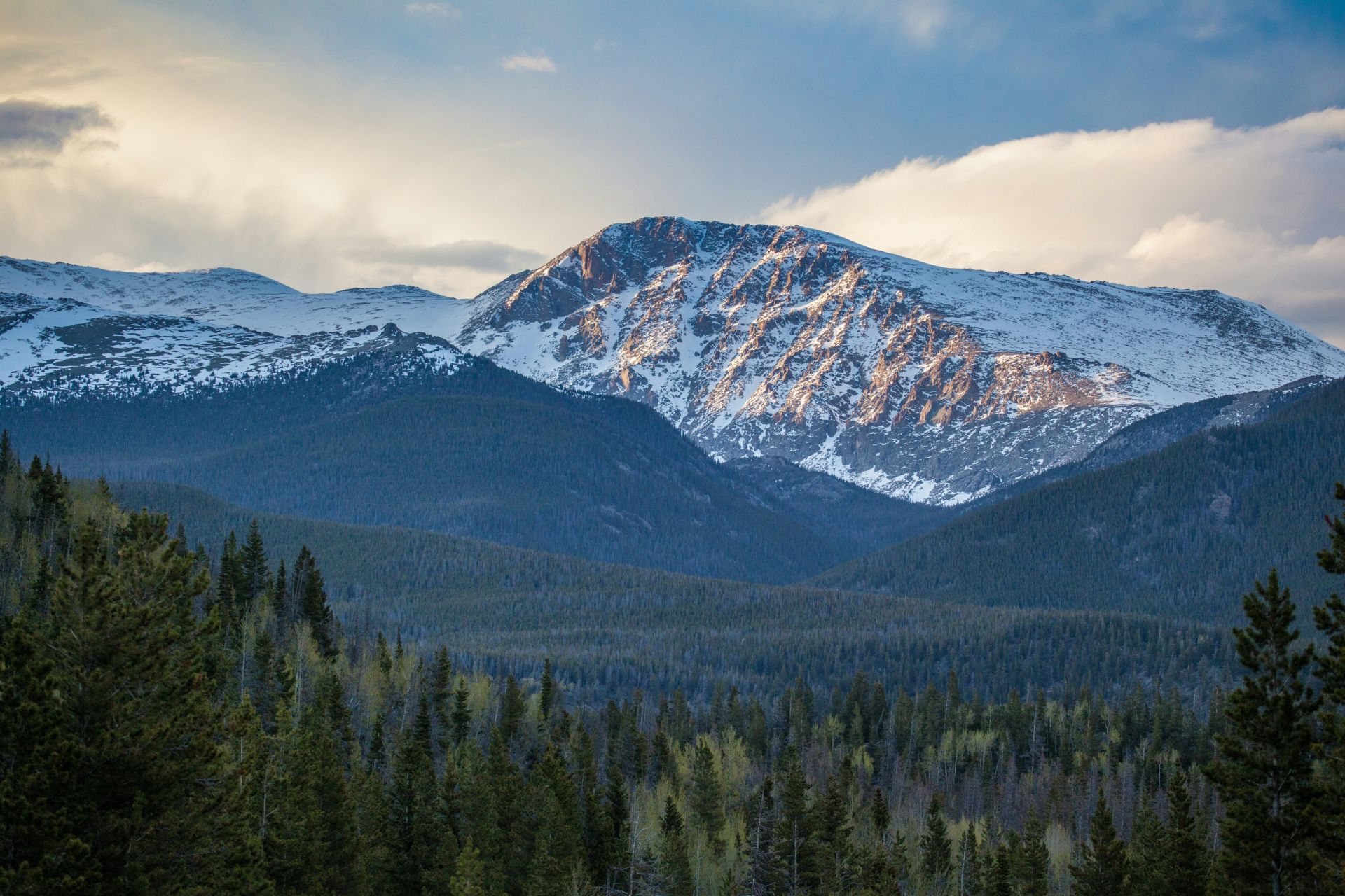 Landscape and Habitat - Mountain Peak at Golden Hour A snow-capped mountain peak illuminated by warm golden light rising above a vast pine forest valley under a dramatic cloudy sky