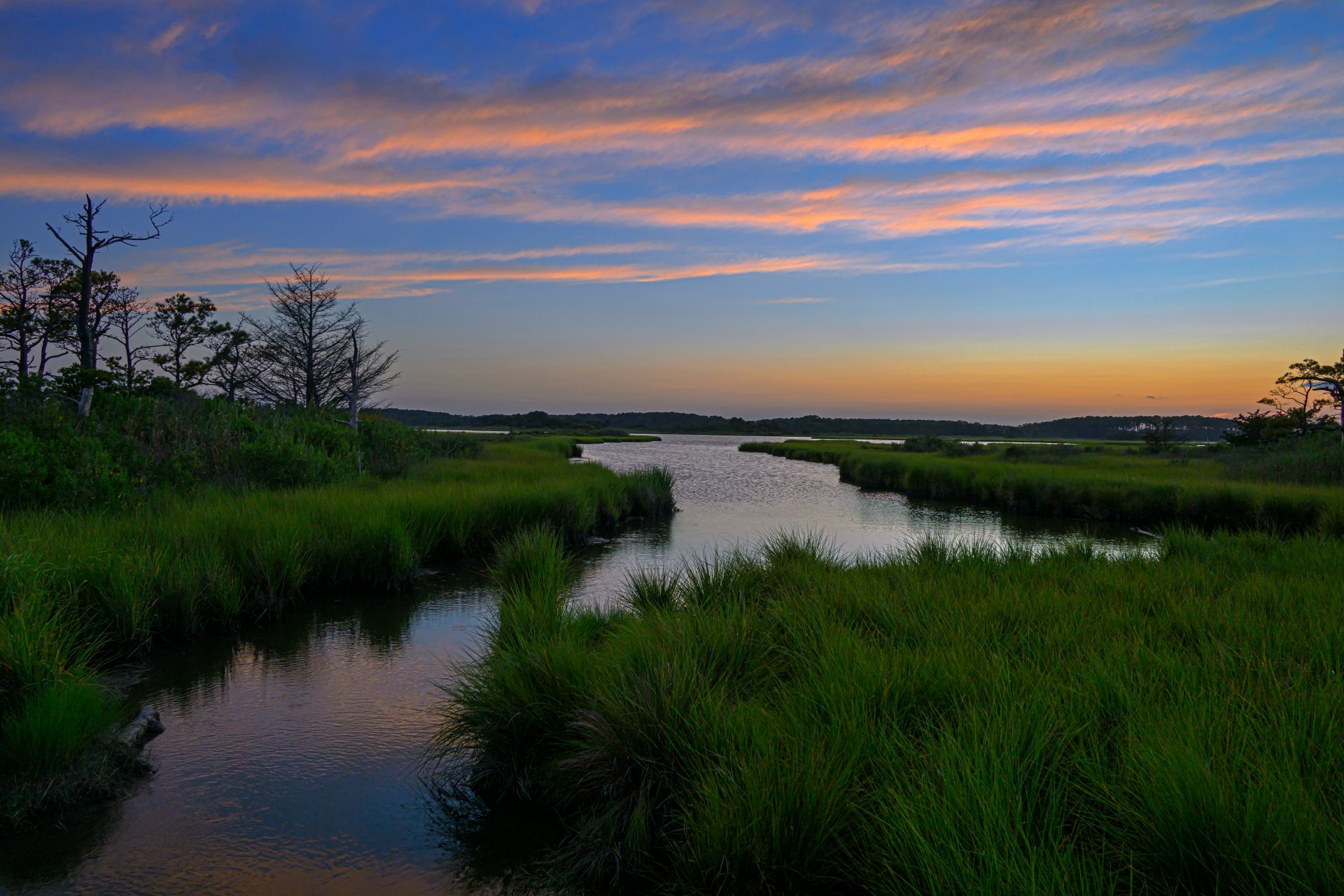A winding coastal marsh creek at sunset with lush green grasses, bare trees silhouetted on the left, and a dramatic orange and blue sky reflected in the water